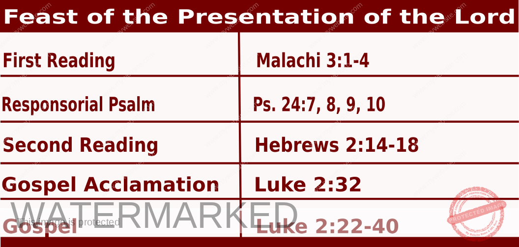 Daily Mass Readings for February 2 2025, Feast of Presentation of the Lord