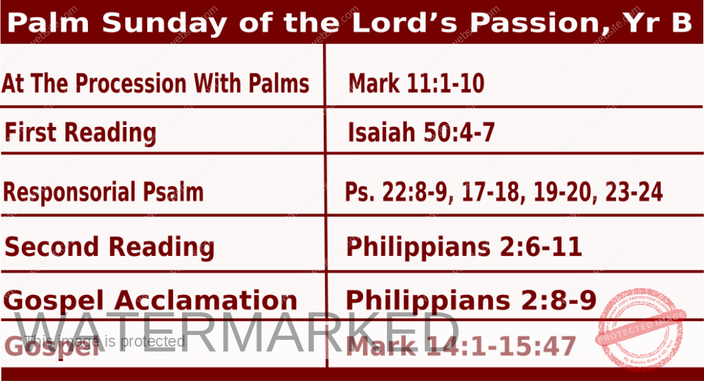 Palm Sunday Readings 2024 March 24 2024