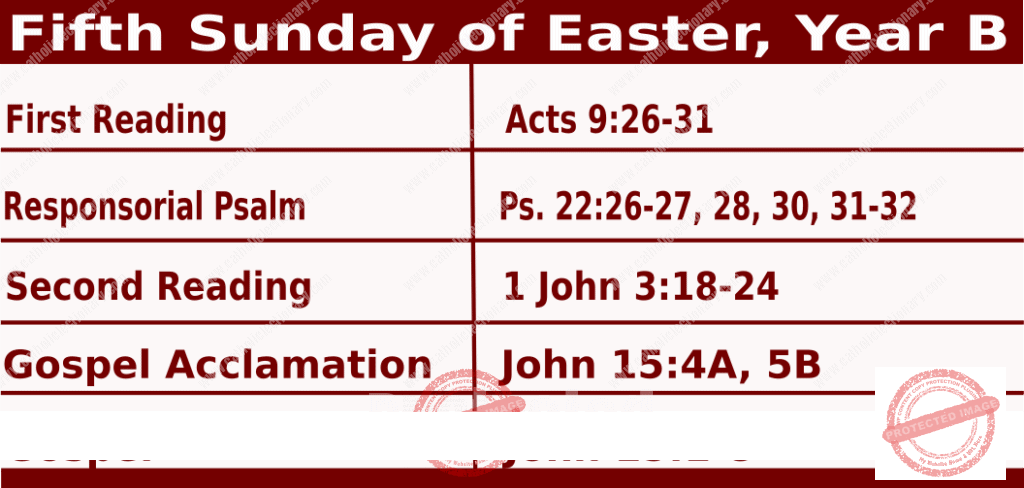 Catholic Mass Readings for April 28 2024, Fifth Sunday of Easter Year B