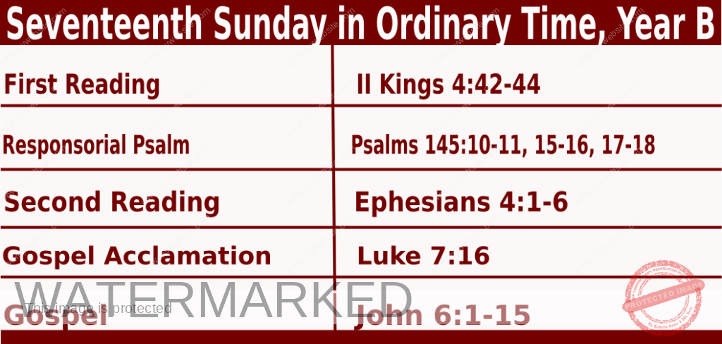Catholic Mass Readings for July 28 2024, Seventeenth Sunday in Ordinary Time Year B