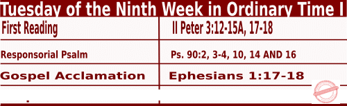 Catholic Mass Readings for June 4 2024, Tuesday of the Ninth Week in Ordinary Time