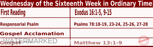 Catholic Mass Readings for July 26 2023, Wednesday of the Sixteenth Week in Ordinary Time