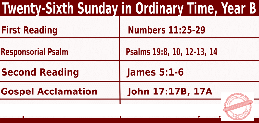 Sunday Mass Readings for September 29 2024, 26th Sunday in Ordinary