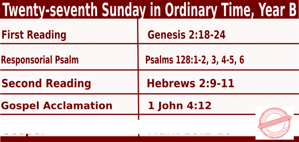 Catholic Mass Readings for October 6 2024, Twenty-seventh Sunday in Ordinary Time Year B
