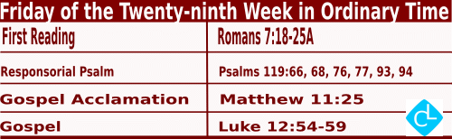 Catholic Mass Readings for October 24 2025, Friday of 29th Week in Ordinary Time