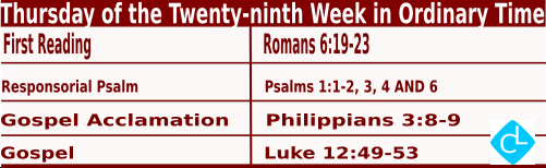 Catholic Mass Readings for October 23 2025, Thursday of 29th Week in Ordinary Time