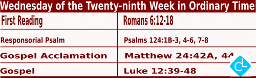 Catholic Mass Readings for October 22 2025, Wednesday of 29th Week in Ordinary Time