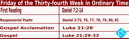 Catholic Mass Readings for November 28 2025, Friday of 34th Week in Ordinary Time