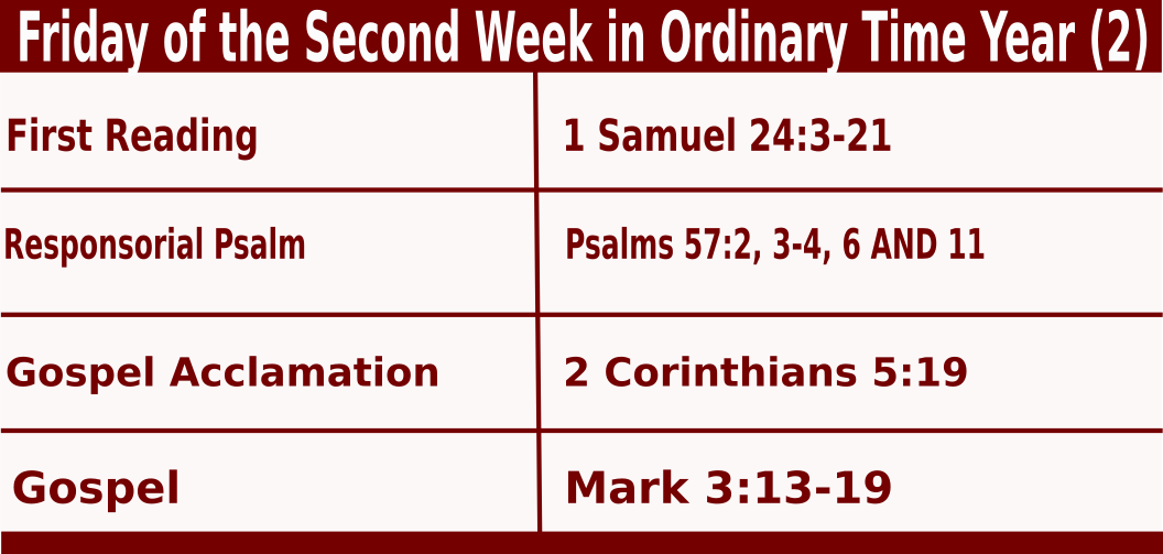 Daily Mass Readings for January 21 2022, Friday of 2nd Week Ordinary Time
