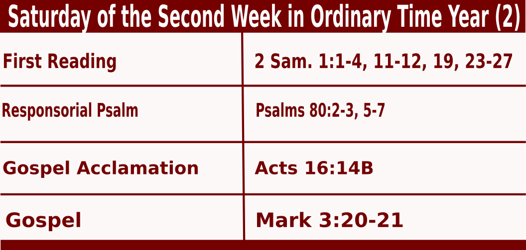 Saturday of the Second Week in Ordinary Time Year (2)
