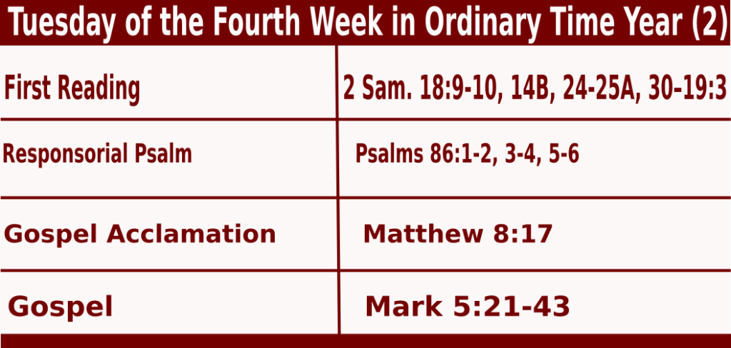 Catholic Mass Readings for January 30 2024, Tuesday of the Fourth Week in Ordinary Time 