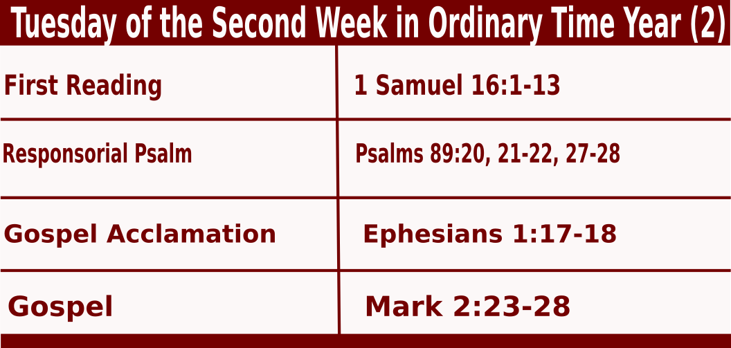 Tuesday of the Second Week in Ordinary Time Year (2)