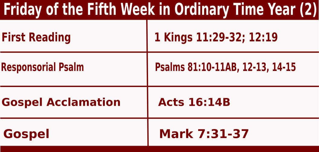 Daily Mass Readings for February 11 2022, Friday of 5th Week in Ordinary Time