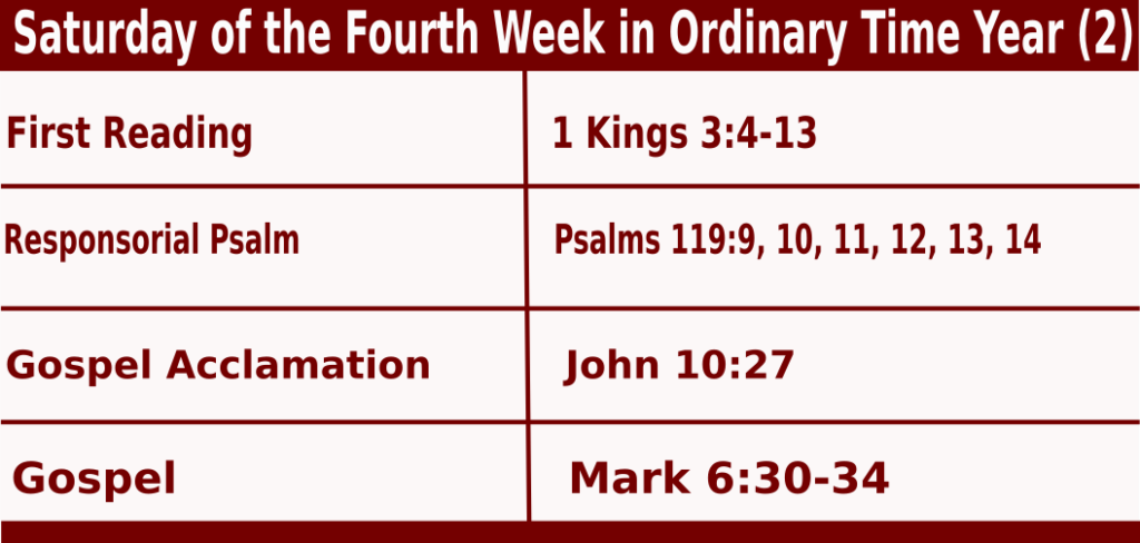 Bible quotations for Mass Readings for February 5 2022, Saturday of the Fourth Week in Ordinary Time Year (2)