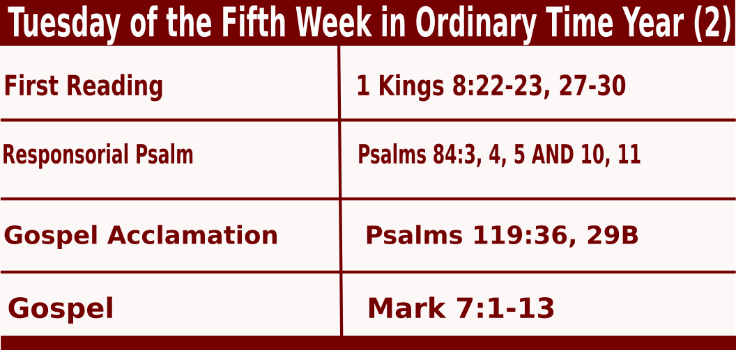 Daily Mass Readings for February 8 2022, Tuesday of 5th Week in Ordinary Time
