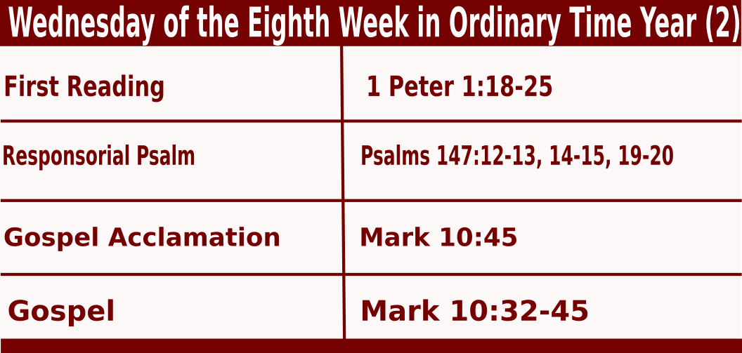 Wednesday of the Eighth Week in Ordinary Time Year (2)
