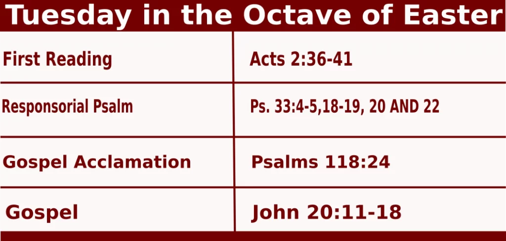 mass readings for April 19 2022 Bible Quotations