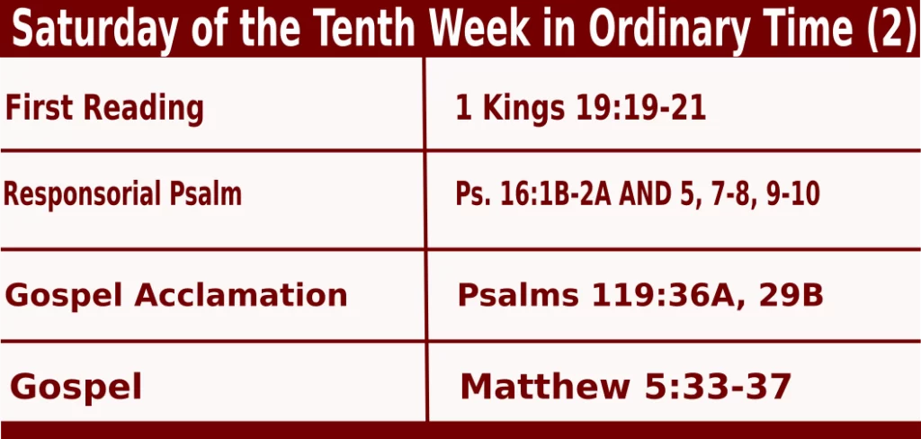 Mass Readings for June 15 2024 Bible Quotations