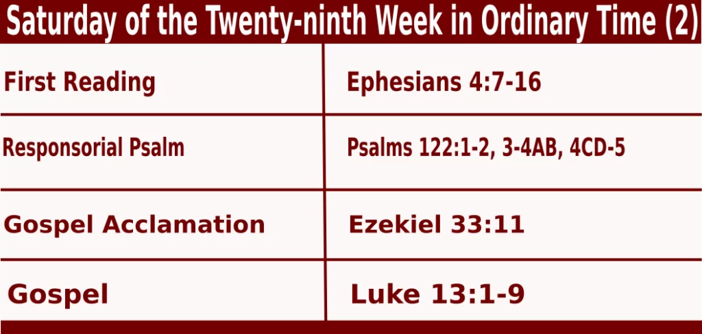 Mass Readings for October 22 2022 bible quotations
