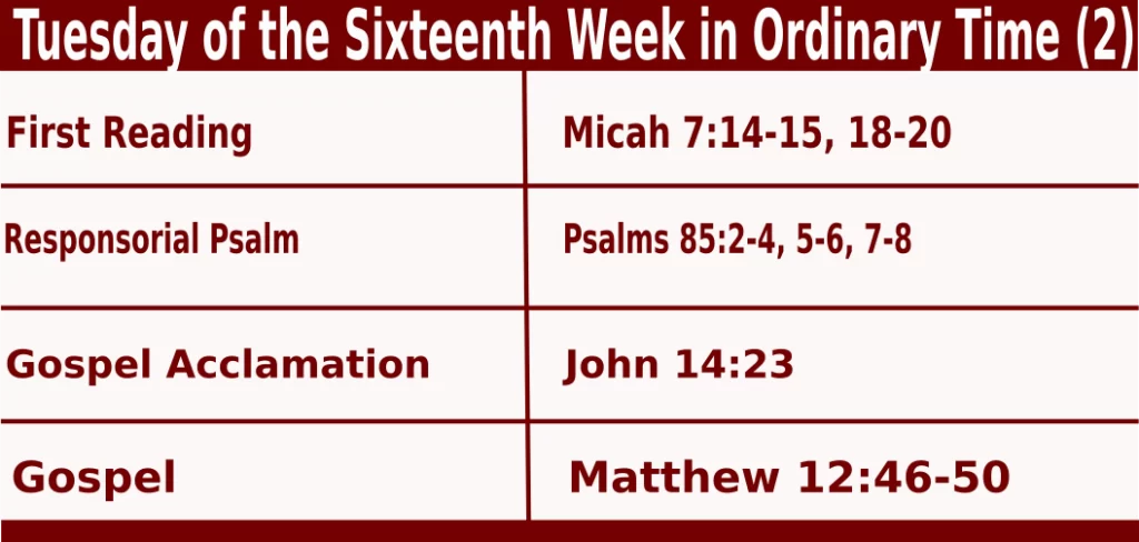 Mass Readings for July 19 2022 Bible Quotations