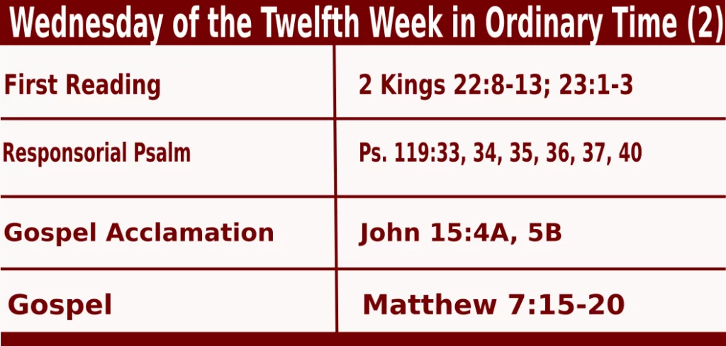 Mass Readings for June 22 2022 Bible Quotations